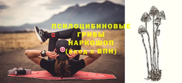 ПСИЛОЦИБИНОВЫЕ ГРИБЫ Алексин