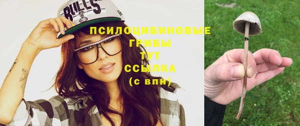 эйфоретик Алексеевка