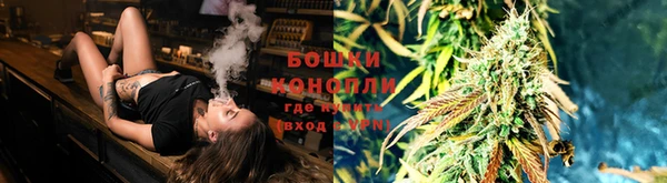 ПСИЛОЦИБИНОВЫЕ ГРИБЫ Алексин