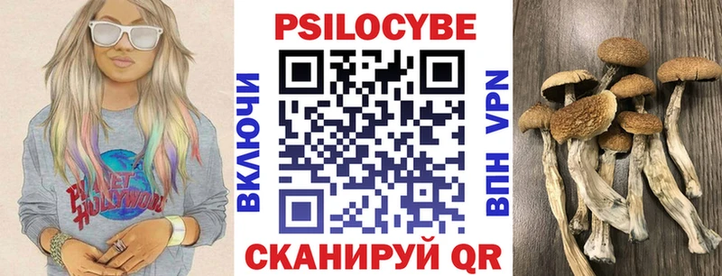 KRAKEN сайт  Рошаль  Псилоцибиновые грибы мухоморы 